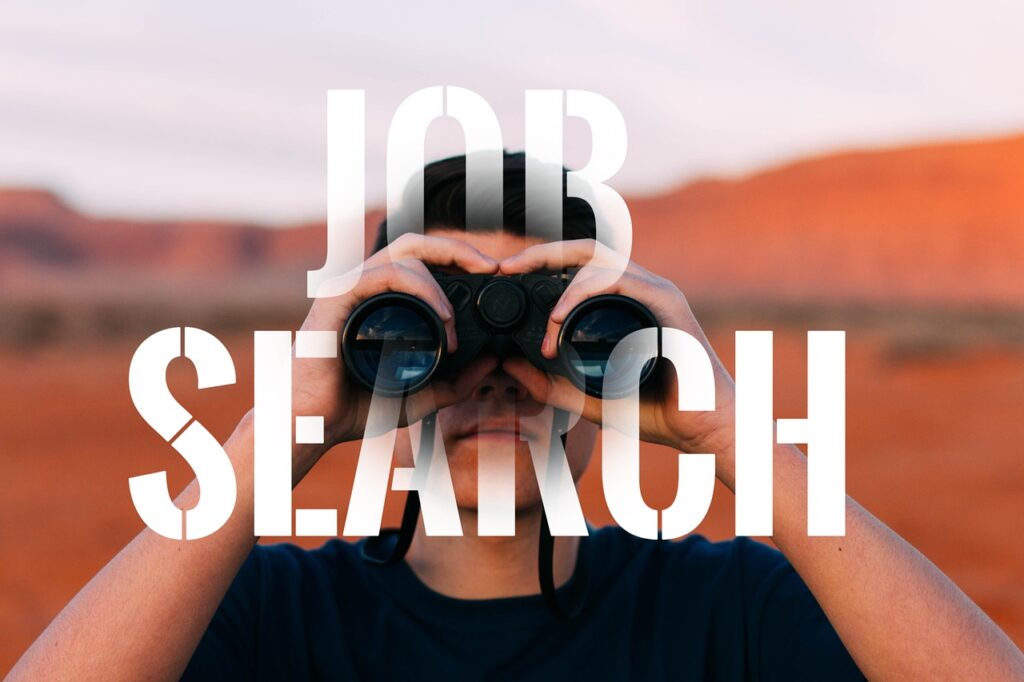 dream job looking for seek 4453054